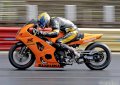 SCR-SS-2010-33-800