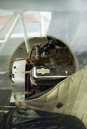 stingray02.JPG