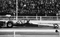 alleygator_spring76