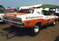 sylvia