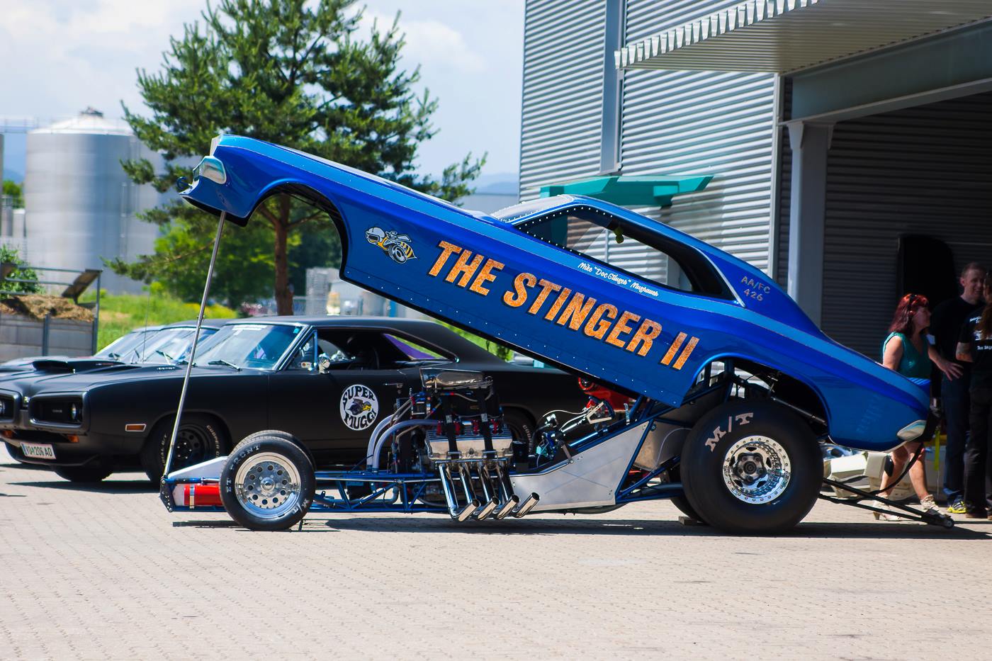 stinger2.jpg