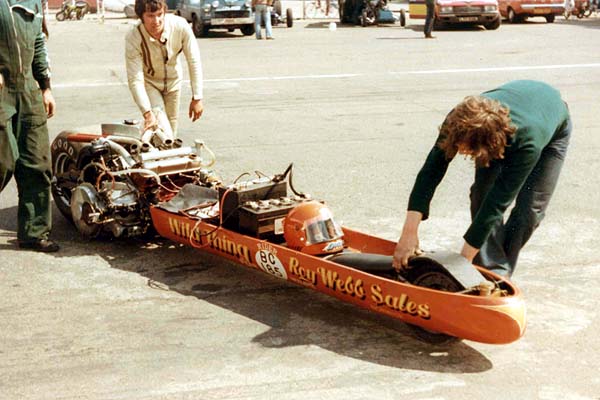 WT-1.jpg